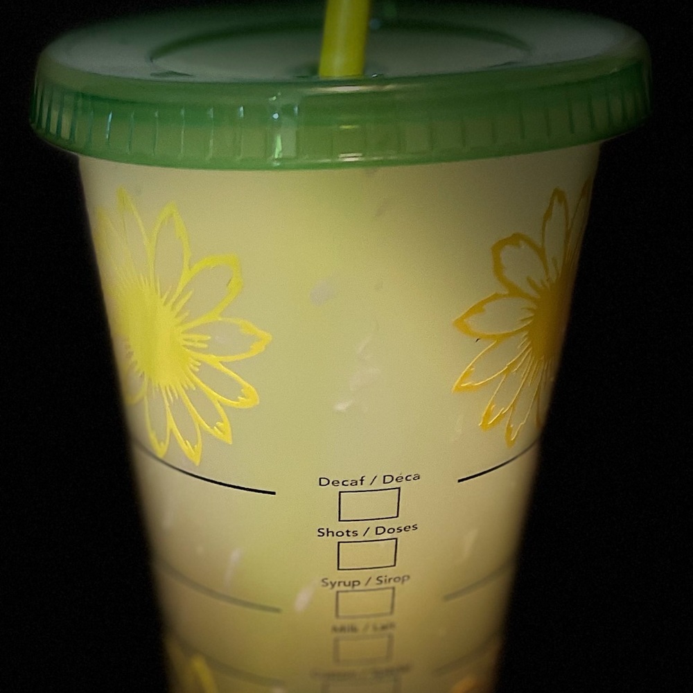 Sunflower cups! - Picture 8 of 8